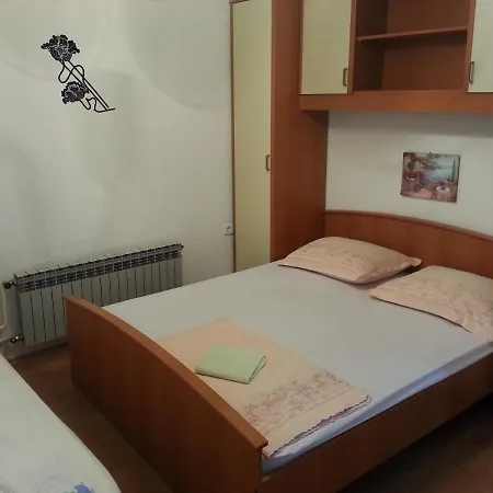 Skoljka 5 Daire *